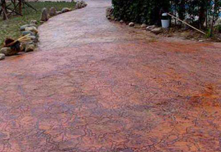 ˇ�g(sh��)������ƺ